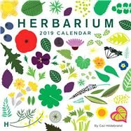 Herbarium 2019 Wall Calendar by Hildebrand, Caz, 9781449494391
