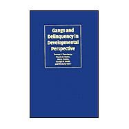 Gangs and Delinquency in Developmental Perspective by Terence P. Thornberry , Marvin D. Krohn , Alan J. Lizotte , Carolyn A. Smith , Kimberly Tobin, 9780521814393