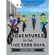 Electric Bikes by B. A. Mihalchick, 9798369404416
