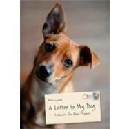 A Letter to My Dog Notes to Our Best Friends by Layton, Robin; Erspamer, Lisa; Culp, Kimi, 9781452114422