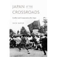 Japan at the Crossroads by Kapur, Nick, 9780674984424