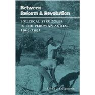 Between Reform & Revolution by Seligmann, Linda J., 9780804724425