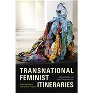 Transnational Feminist Itineraries: Situating Theory and Activist Practice by Ashwini Tambe, 9781478014430