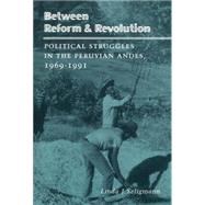 Between Reform & Revolution by Seligmann, Linda J., 9780804724432