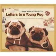 Letters to a Young Pug by Wilson the Pug; Levine, Nancy (CON), 9781510714434