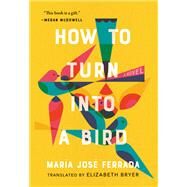 How to Turn Into a Bird by Ferrada, Mara Jos; Bryer, Elizabeth, 9781953534460