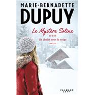 Le Mystre Soline, T3 - Un Chalet sous la neige - partie 2 by Marie-Bernadette Dupuy, 9782702184462