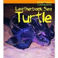 Leatherback Sea Turtle by Theodorou, Rod, 9781588104472