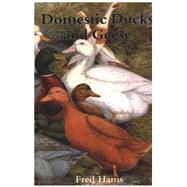 Domestic Ducks and Geese by Hams, Fred, 9780747804475