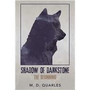 Shadow of Darkstone by Quarles, M. D., 9781796054477