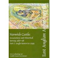Norwich Castle:: Excavations and Historical Survey, 1987-98, Parts I and II: Anglo-Saxon to C.1345 and C. 1345 to Modern by POPESCU ELIZABETH SHEPHERD, 9780905594484
