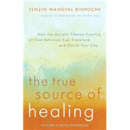 The True Source of Healing How the Ancient Tibetan Practice of Soul Retrieval Can Transform and Enrich Your Life by Rinpoche, Tenzin Wangyal; Turner, Polly, 9781401944490