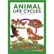 Animal Life Cycles Discovering How Animals Live in the Wild by Hare, Tony, 9789815044492