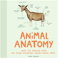 Animal Anatomy (Funny Animal Books, Funny Anatomy Books, Humor Books for Adults) by Corrigan, Sophie, 9781452174495