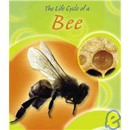 The Life Cycle of a Bee by Trumbauer, Lisa, 9780736814508