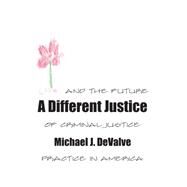 A Different Justice by Devalve, Michael J., 9781611634518