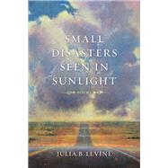 Small Disasters Seen in Sunlight by Levine, Julia B., 9780807154533