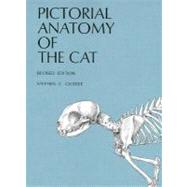 Pictorial Anatomy of the Cat by Gilbert, Stephen G., 9780295954547