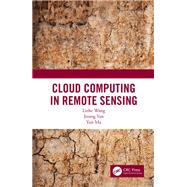 Remote Sensing Cloud Computing by Wang; Lizhe, 9781138594562