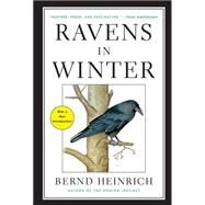 Ravens in Winter by Heinrich, Bernd, 9781476794563