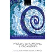 Process, Sensemaking, and Organizing by Hernes, Tor; Maitlis, Sally, 9780199594566