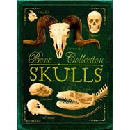 Bone Collection: Skulls by de la Bdoyre, Camilla; Doyle, Sandra, 9780545724579