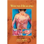 Wound Healing by Falabella; Anna, 9780824754587