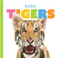Baby Tigers by Riggs, Kate, 9781568464596