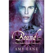 Bound, Vol. 2 by Lane, Amy, 9781634764599