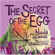 The Secret of the Egg by Cameron, Abbie; Davies, Nicola, 9781913134600