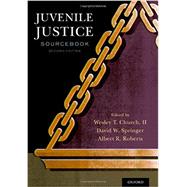 Juvenile Justice Sourcebook by Church, II, Wesley T; Springer, David; Roberts, Albert R, 9780199324613