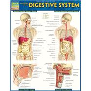 Anatomy of the Digestive System by Perez, Vincent, 9781423234623