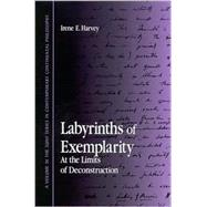 Labyrinths of Exemplarity : At the Limits of Deconstruction by Harvey, Irene E., 9780791454633