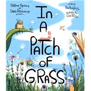 In a Patch of Grass by Hodgkins, Fran; Tavis, Dan, 9780884484639