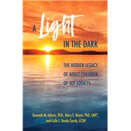 A Light in the Dark by Kenneth M. Adams; Mary  E. Meyer; Culle L. Vande Garde, 9780757324642