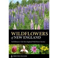 Wildflowers of New England by Unknown, 9781604694642