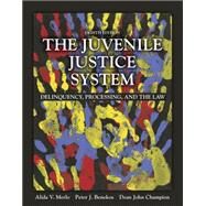 The Juvenile Justice System Delinquency, Processing, and the Law by Merlo, Alida V.; Benekos, Peter J; Champion, Dean J., 9780133754643