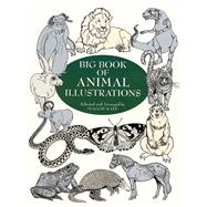 Big Book of Animal Illustrations by Kate, Maggie, 9780486404646