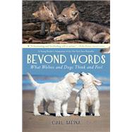 Beyond Words by Safina, Carl; Safina, Carl, 9781250144652