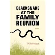 Blacksnake at the Family Reunion by Huddle, David, 9780807144695