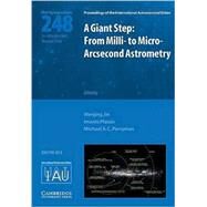 A Giant Step: From Milli- to Micro- Arcsecond Astrometry (IAU S248) by Edited by Wenjing Jin , Imants Platais , Michael A. C. Perryman, 9780521874700