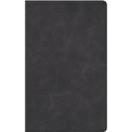 CSB Single-Column Personal Size Bible, Holman Handcrafted Collection, Premium Marbled Slate Calfskin by CSB Bibles by Holman, 9781430094708