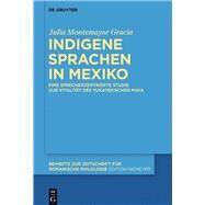 Indigene Sprachen in Mexiko by Montemayor Gracia, Julia, 9783110544749