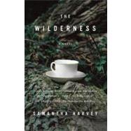 The Wilderness by Harvey, Samantha, 9780307454775