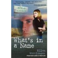 What's in a Name by Wittlinger, Ellen, 9781416984825