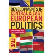 Developments in Central and East European Politics 5 by White, Stephen; Lewis, Paul G.; Batt, Judy, 9780822354826