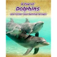 A Pod of Dolphins by Spilsbury, Richard, 9781432964832