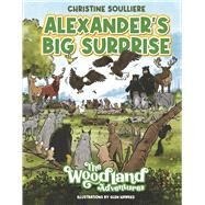 Alexander's Big Surprise by Soulliere, Christine; Hawkes, Glen, 9781777934842