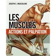 Les muscles : actions et palpation by Annie Gouriet; Joseph E. Muscolino; Michel Pillu; John Scott & Co, 9782294734847