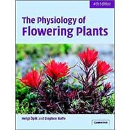 The Physiology of Flowering Plants by Helgi Öpik , Stephen A. Rolfe , Edited in consultation with Arthur J. Willis, 9780521664851